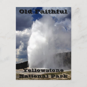 Carte Postale Yellowstone Old Faithful Postcard