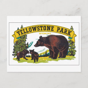 Carte Postale Yellowstone Park, Wyoming