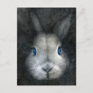 CARTE POSTALE YEUX BLEUS