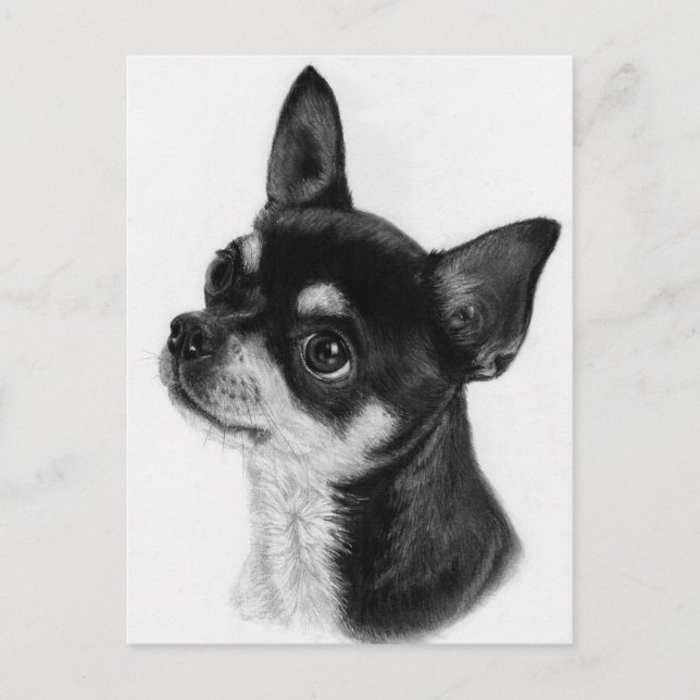 Carte Postale Yeux curieux - Peint à la main Chihuahua (Devant)