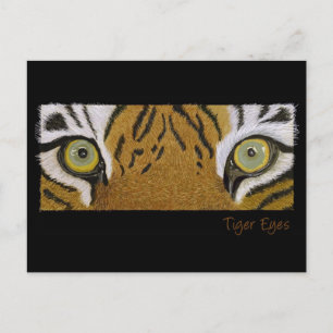 Carte Postale yeux de tigre