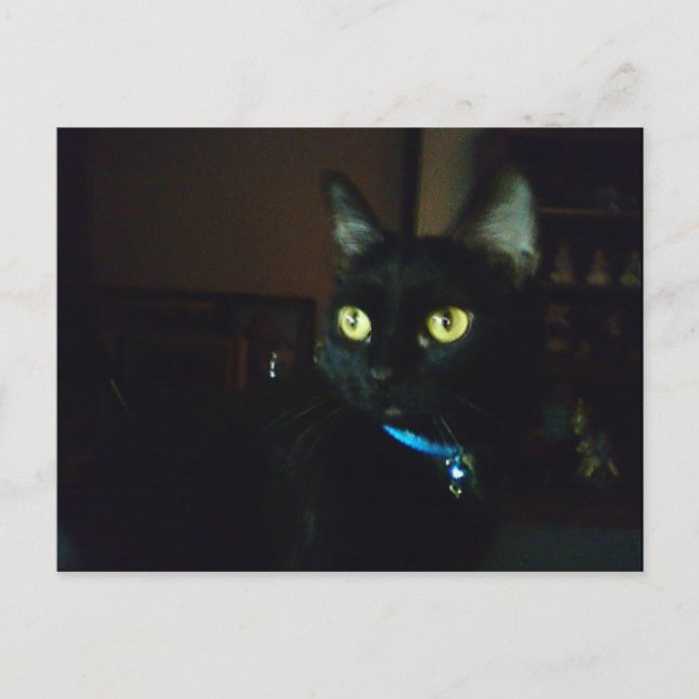 Carte Postale Yeux d'Halloween (Devant)