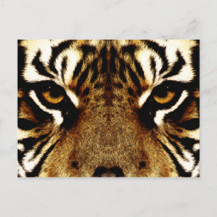 Carte Postale Yeux d'un tigre