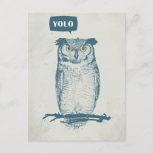 CARTE POSTALE YOLO