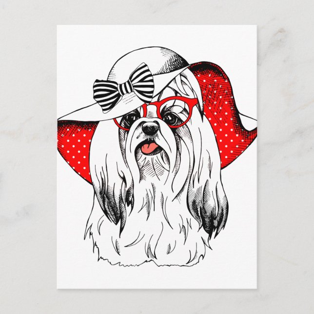 Carte Postale Yorkie Fashion Shoot (Devant)