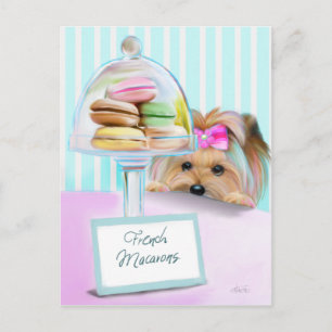 Carte Postale Yorkie French Macarons