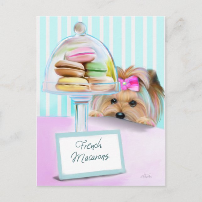 Carte Postale Yorkie Macarons (Devant)