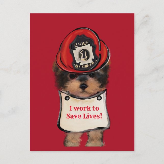 Carte Postale Yorkie Poo (Devant)