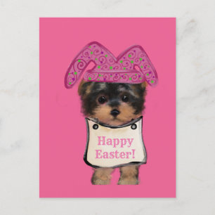 Carte Postale Yorkie Poo