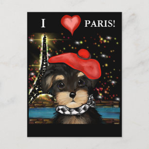 CARTE POSTALE YORKIE POO À PARIS