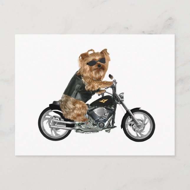 Carte Postale Yorkie Yorkshire Terrier Biker (Devant)