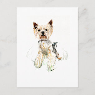 Carte postale Yorkie – Yorkshire Terrier, Parent d