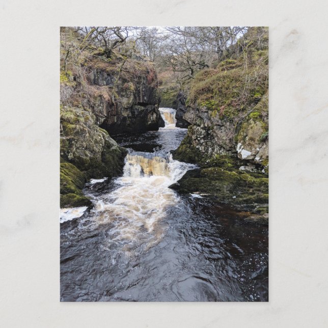 Carte Postale Yorkshire Dales, Ingleton - Rival Falls (Devant)