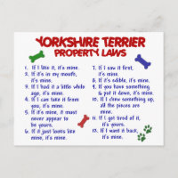 YORKSHIRE TERRIER Propriété Lois 2 Yorkie