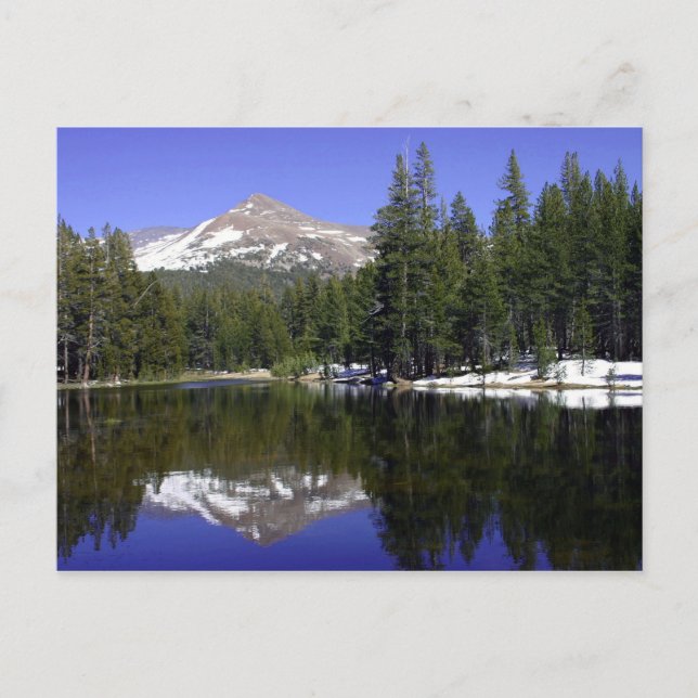 Carte postale Yosemite (Devant)