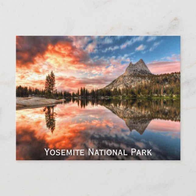 Carte Postale Yosemite National Park California Travel Photo (Devant)
