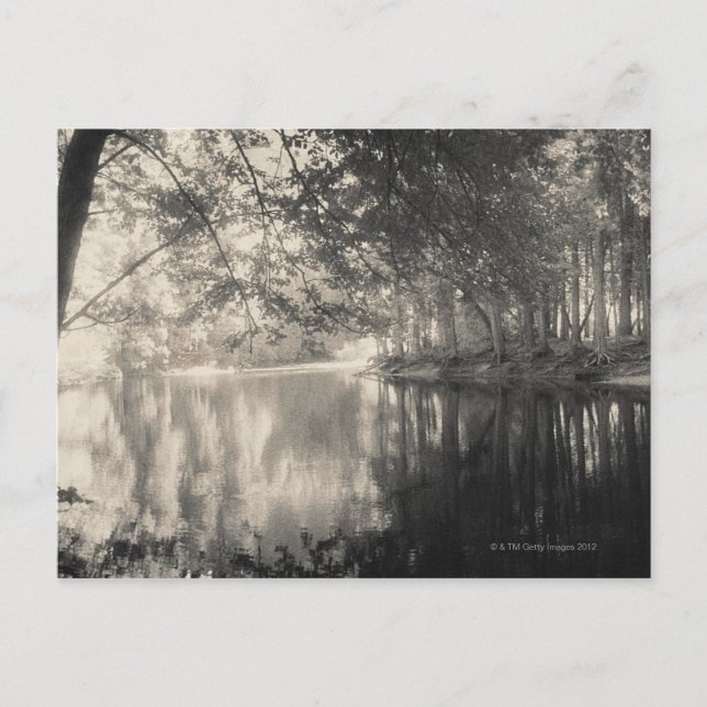 Carte Postale Yosemite Park, Wyoming (Devant)