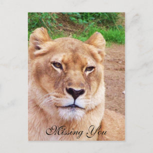 Carte postale You_ manquante