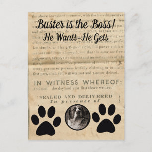 Carte Postale Your Dog Photo n Paws 1860 Document juridique drôl