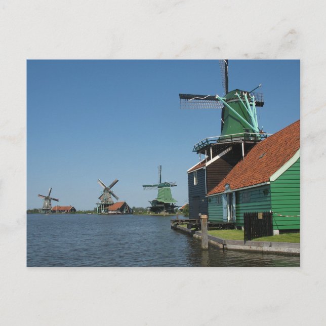 Carte Postale Zaanse Schans Windmills en Hollande (Devant)