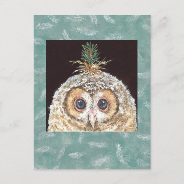 Carte postale Zane (owlet w jack pine) (Devant)