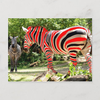 Carte Postale Zebhuh ?