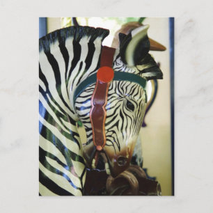 Carte postale Zebra