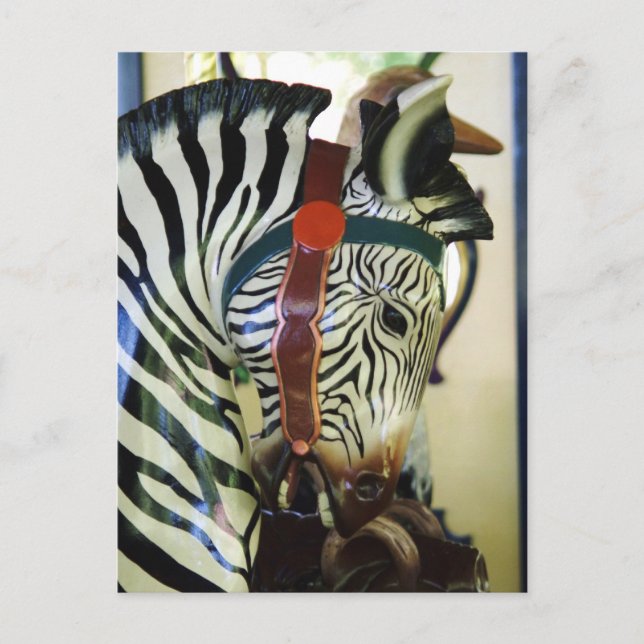 Carte postale Zebra (Devant)