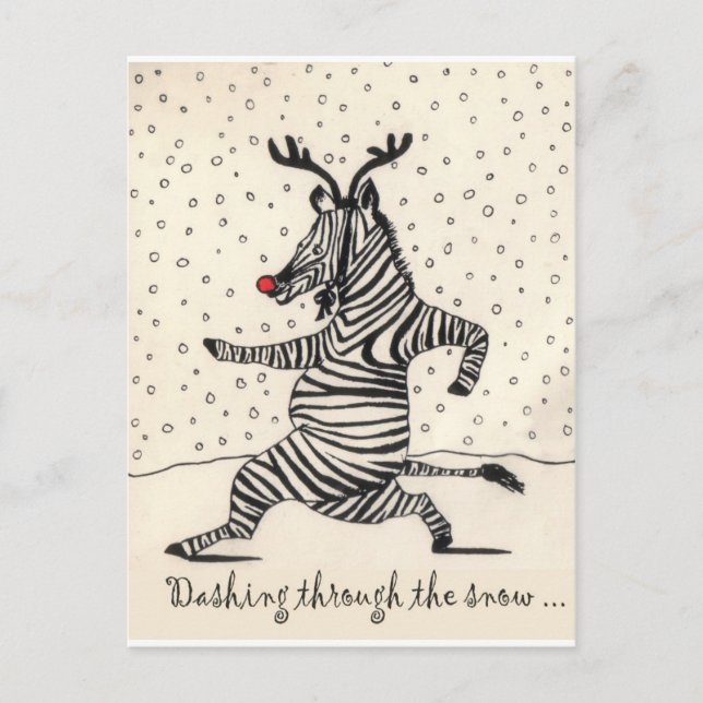 CARTE POSTALE ZEBRA (Devant)