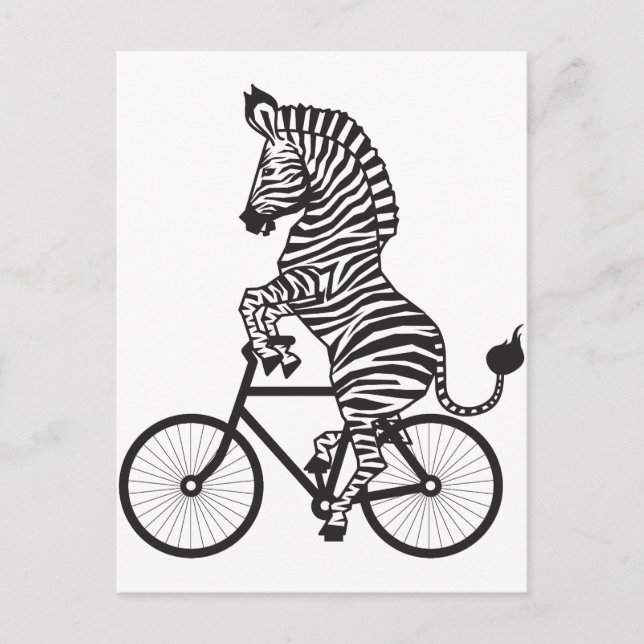 Carte Postale Zebra à vélo (Devant)