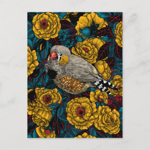 Carte Postale Zebra finch et buisson rose