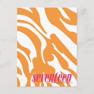 Carte Postale Zebra Orange