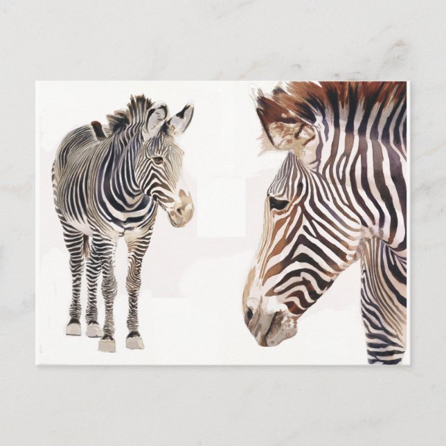 Carte Postale "Zebra Pair" Aquarelle Art de la faune (Devant)