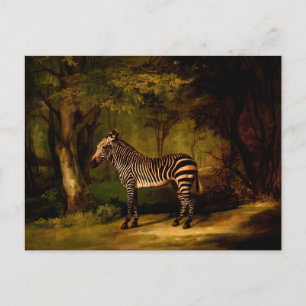 Carte Postale Zebra par George Stubbs (1763)