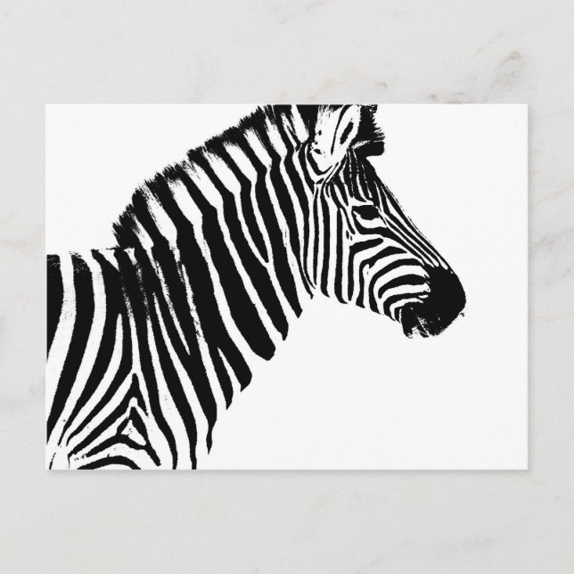 Carte Postale Zebra Stripes (Devant)