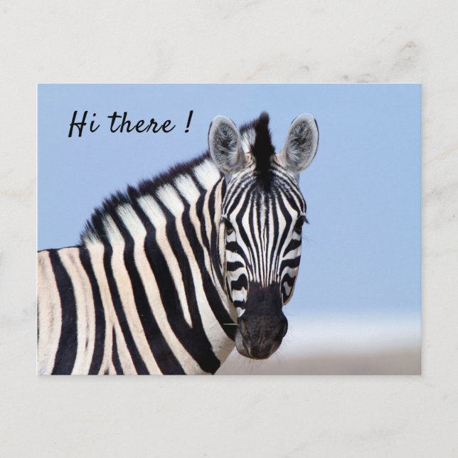 Carte Postale Zebra vous regardant avec le texte de photo bleu c (Devant)