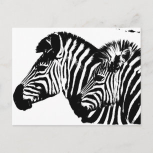 Carte Postale Zebras Moderne Noir Et Blanc Modèle Pop Art.