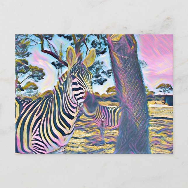 Carte Postale Zèbre animal belle couleur (Devant)