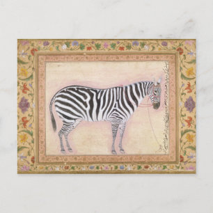 Carte Postale Zèbre, du 'Minto Album', 1621 (gouache sur pa