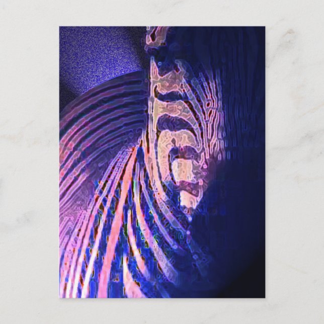 Carte Postale Zèbres brillants 09 (Devant)