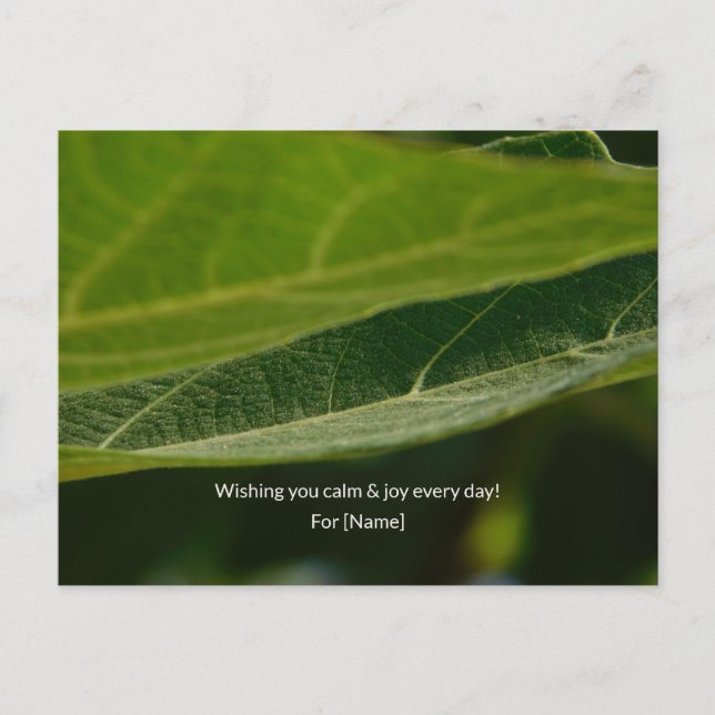 Carte postale Zen Leaf – Nature personnalisée (Devant)