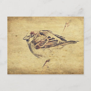 Carte Postale Zen Oriental art crayon croquis oiseau sauvage