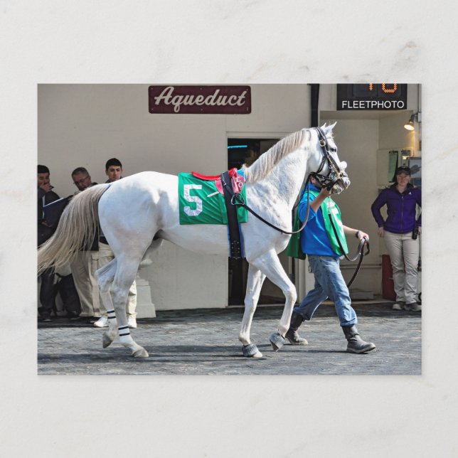 Carte Postale Zen Papa (Devant)