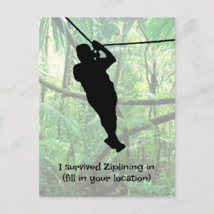 Carte postale Zipline