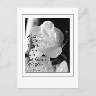 Carte Postale Zitat-Traene