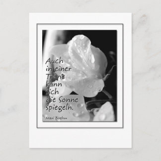 Carte Postale Zitat-Traene