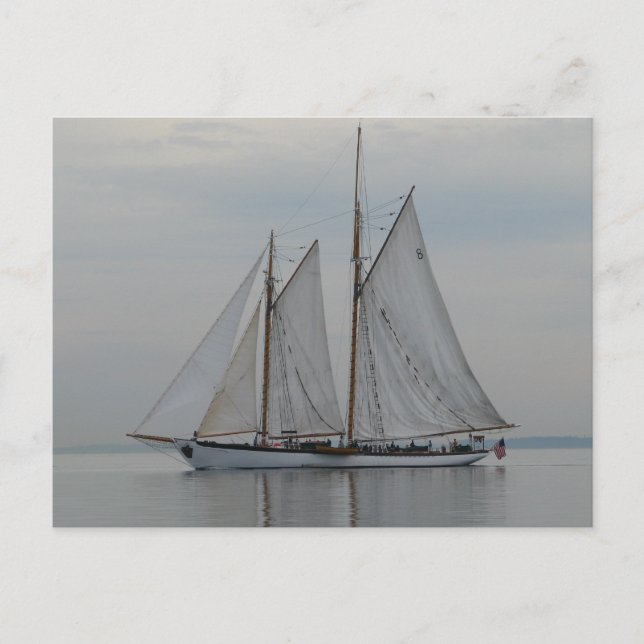 Carte Postale Zodiaque (Devant)