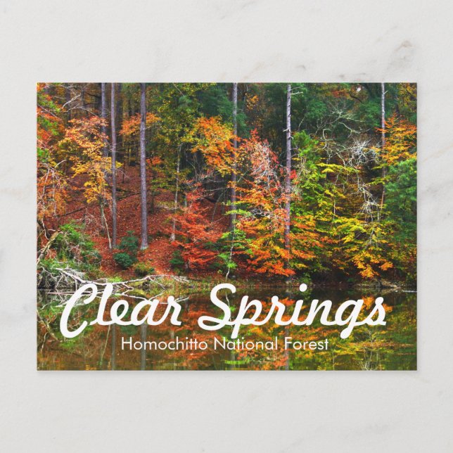 Carte Postale Zone de loisirs Clear Springs (Devant)