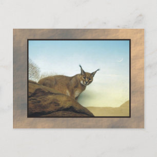 Carte Postale zoo lynx 2