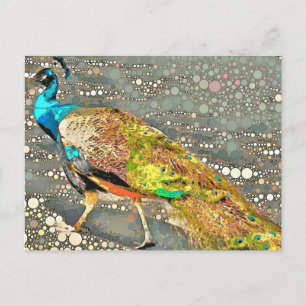 Carte postale Zoo Peacock